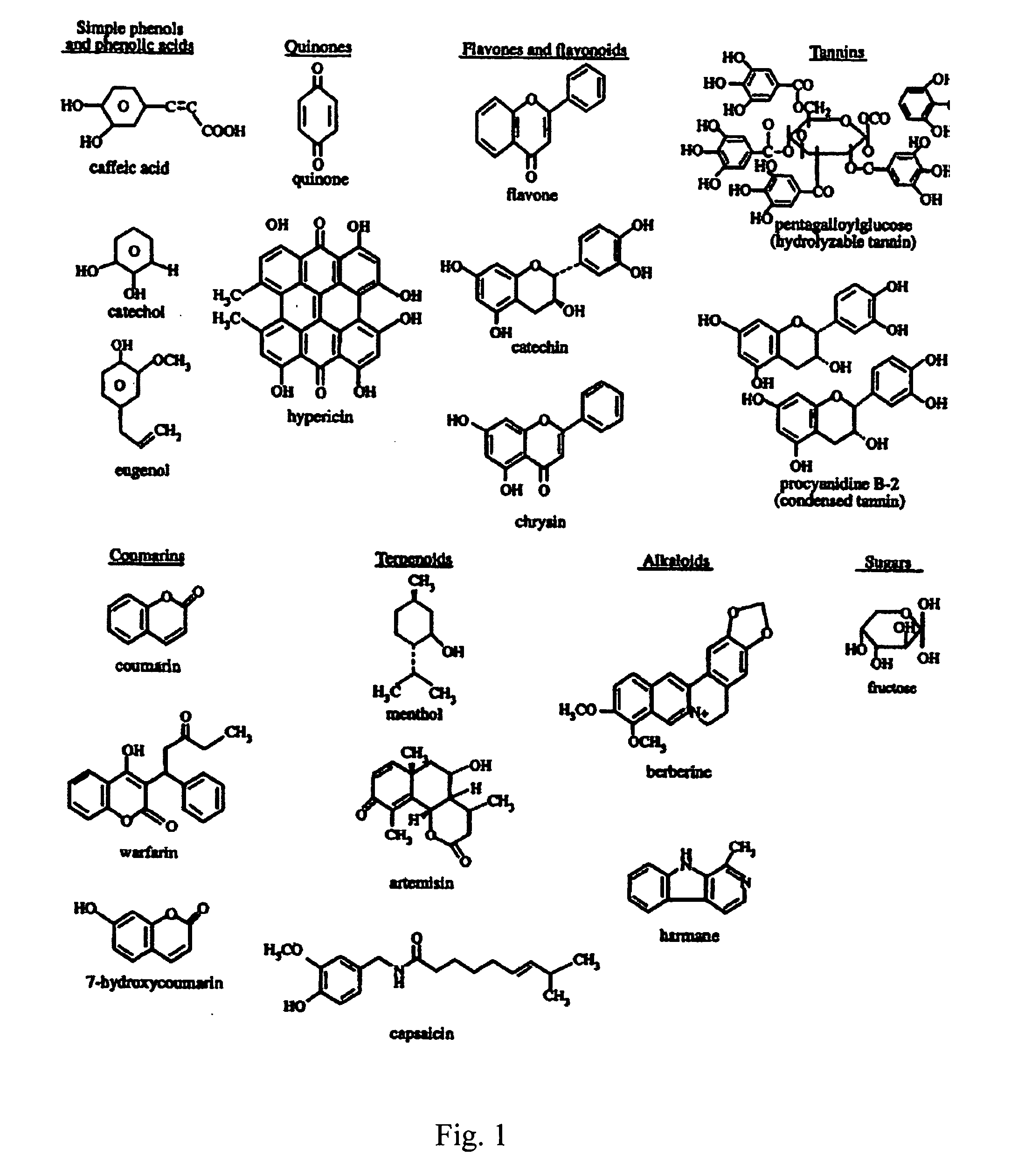 Composition and method for delivery of phytochemicals