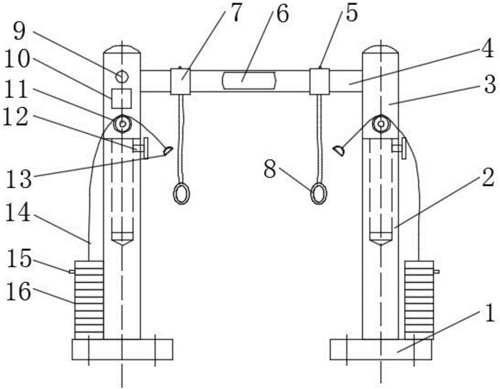 Stand column type physical bodybuilding equipment with testing device