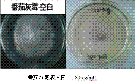 Pyridine heterocyclic quaternary ammonium salt cationic surfactant agricultural bactericide