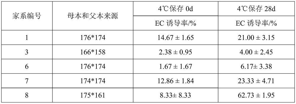 Method for improving induction rate of embryogenic calluses of pinus koraiensis