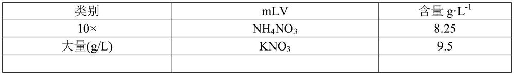 Method for improving induction rate of embryogenic calluses of pinus koraiensis