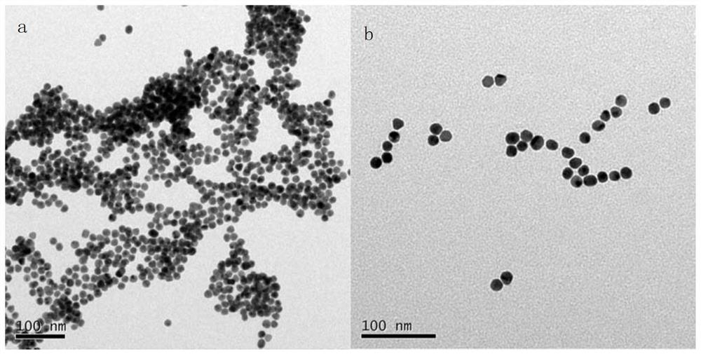 A kind of mercury ion detection reagent and preparation method and application thereof