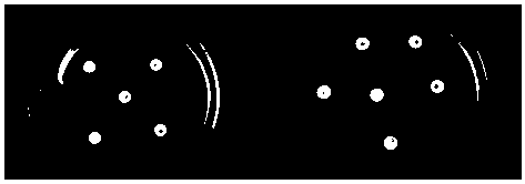 Enterobacter agglomerans with phosphate-solubilizing capacity, and application thereof