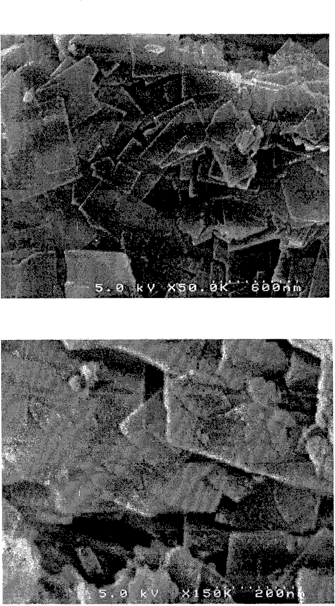 Method for preparing metalloaluminophosphate (MEAPO) molecular sieve