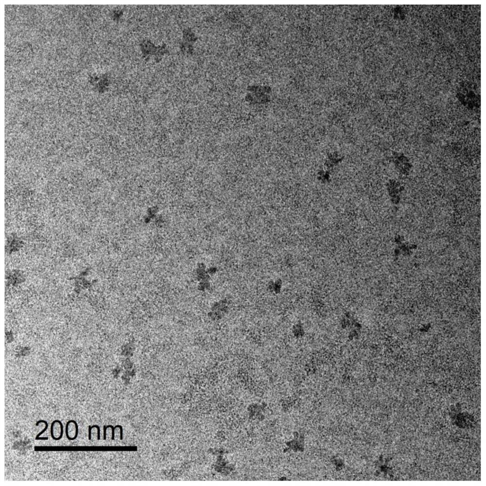 Preparation method of terbium organic composite nanoprobe for detecting fluorine ions in aqueous solution