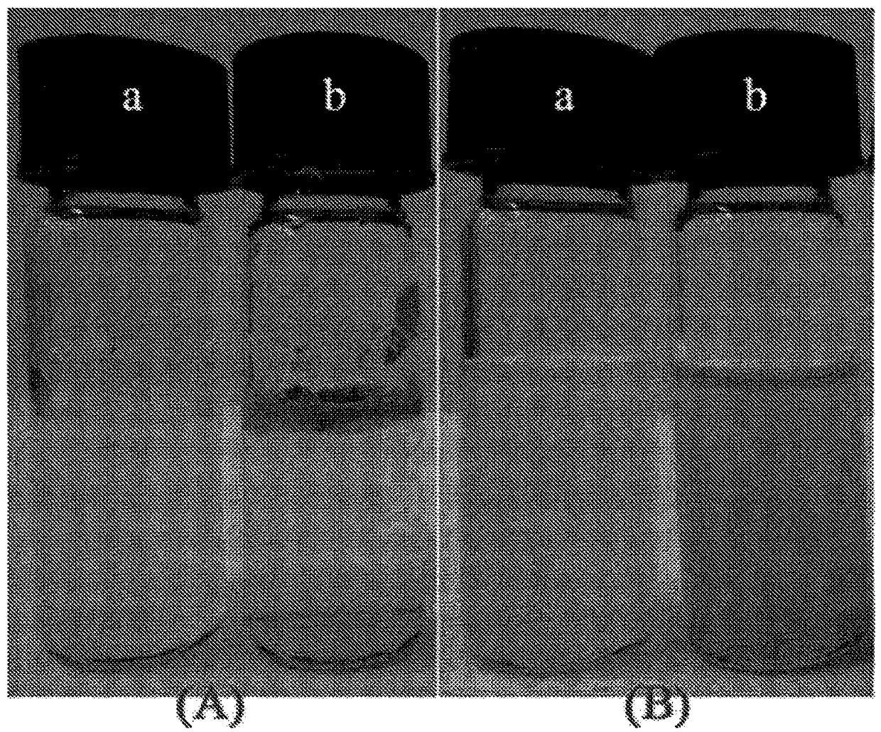 Durable superhydrophobic coating