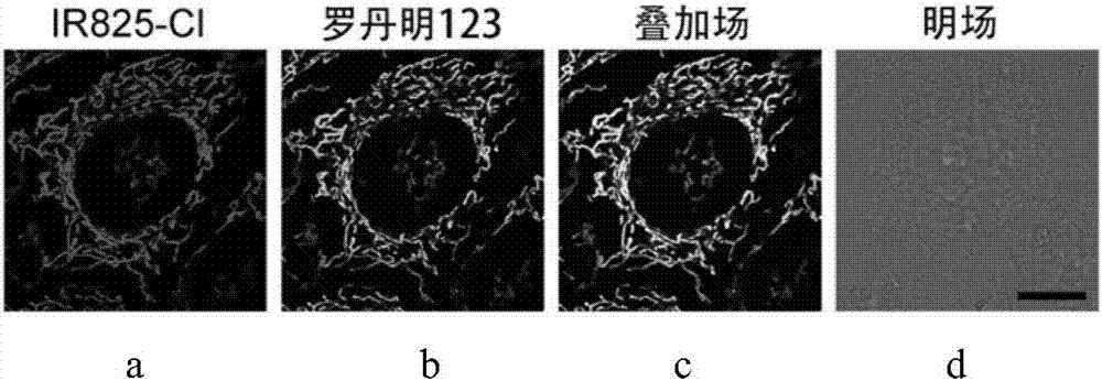 Application of heptamethine indocyanine organic dye as mitochondria fluorescent probe