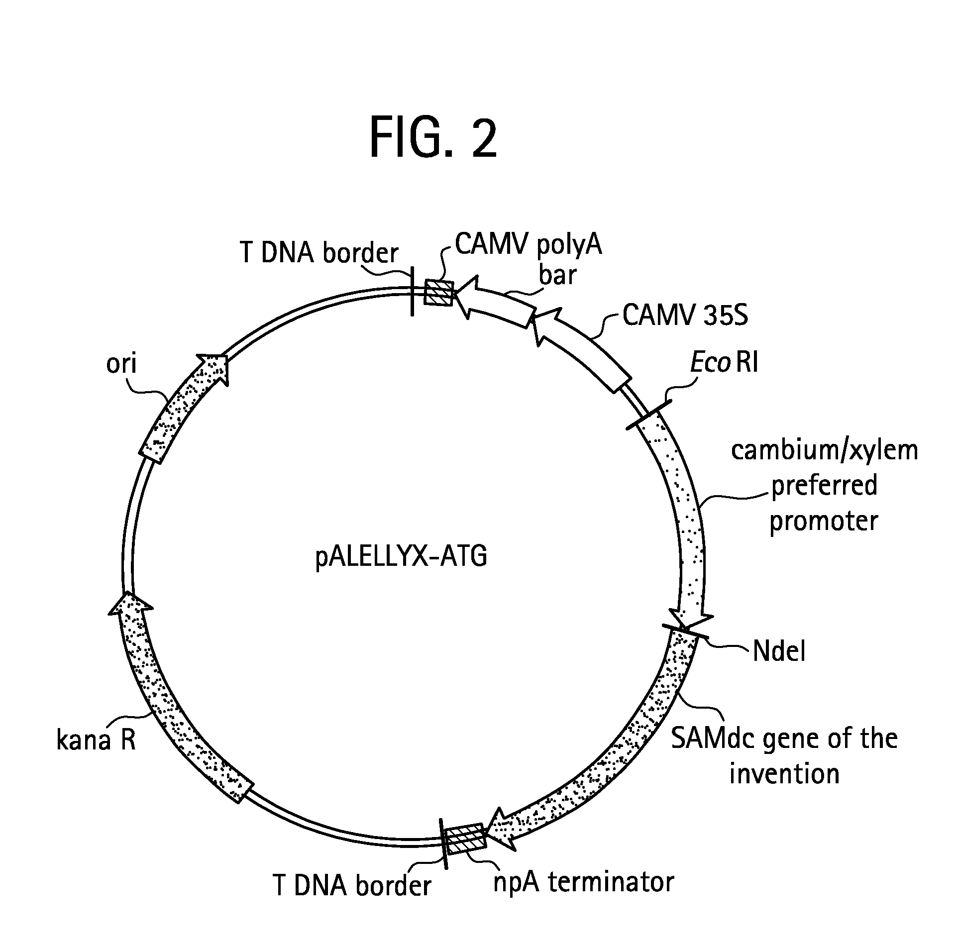 Altering lignin and wood density