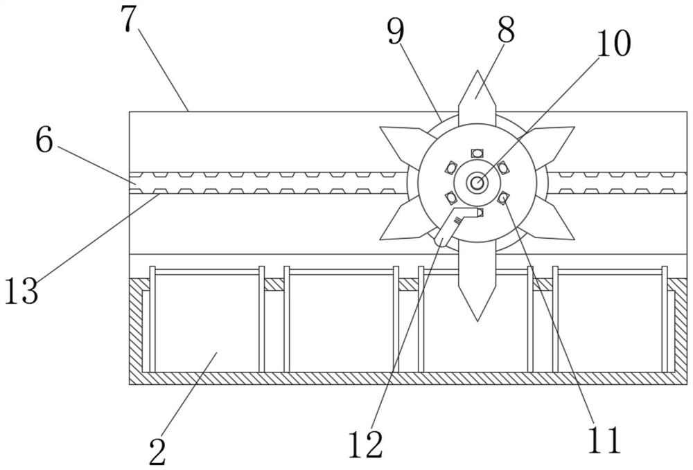 Sowing equipment for lily breeding