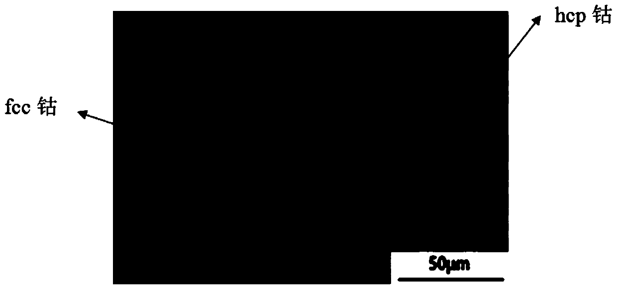 Preparation method and application of tissue-controllable ultrahigh-purity cobalt plate