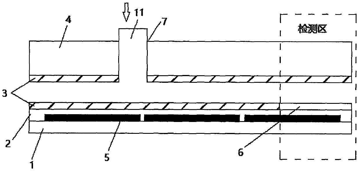 Digital microfluidic chip and pathogen immunoassay method based thereon