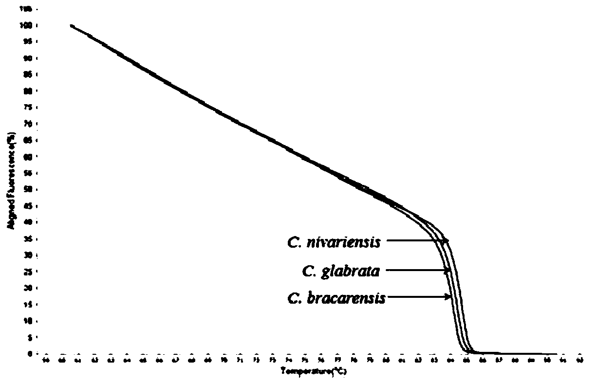 Method for identifying candida glabrata by high-resolution-ratio melting curve