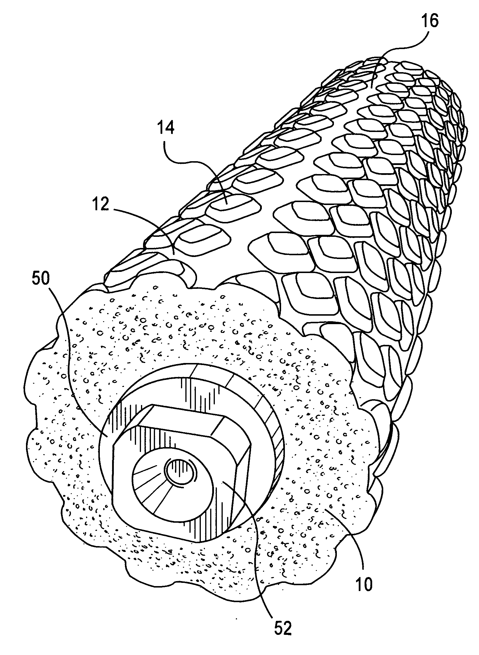 Foam Composition roller brush with embedded mandrel