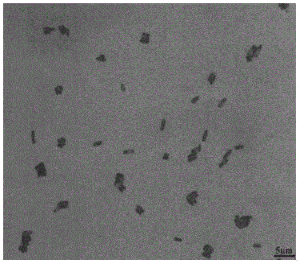 Bacillus amyloliquefaciens plant subspecies ZFH-3 microbial agent and application thereof