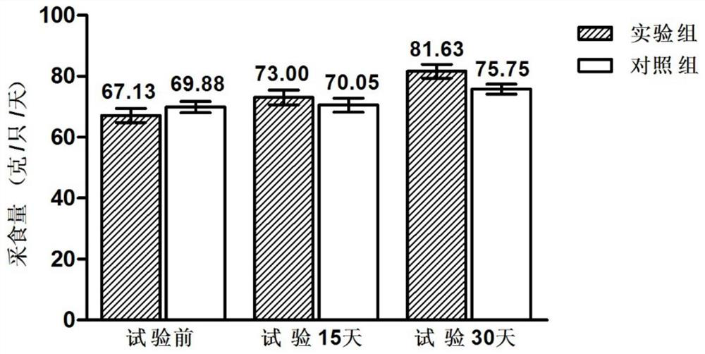 A kind of compound lactic acid bacteria microecological preparation and its preparation method and application