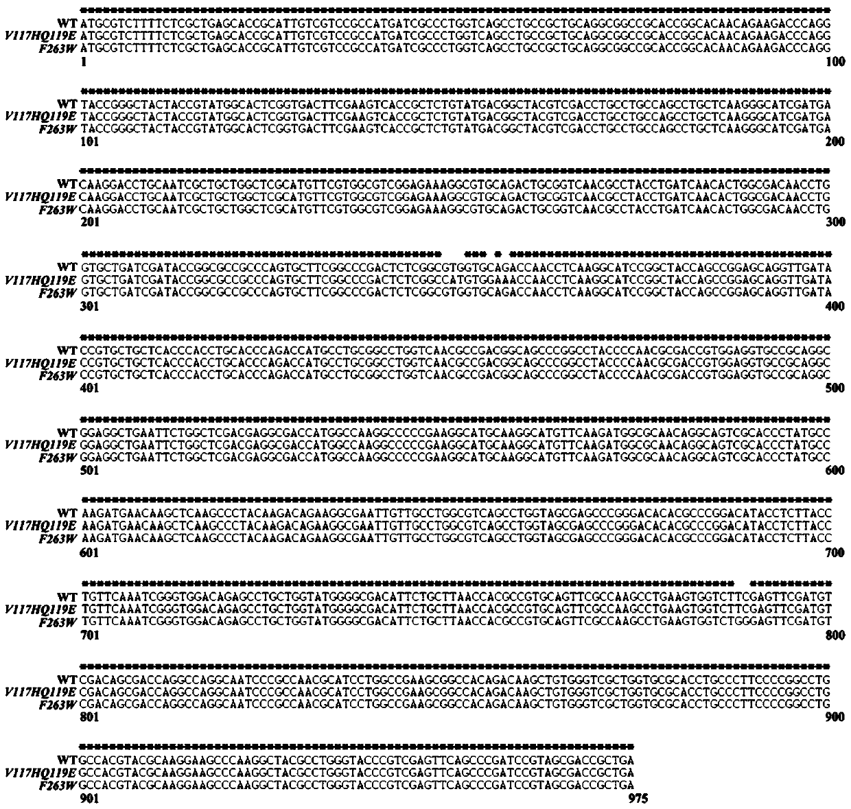 Methyl parathion hydrolase mutant with improved enzymatic performance and application thereof