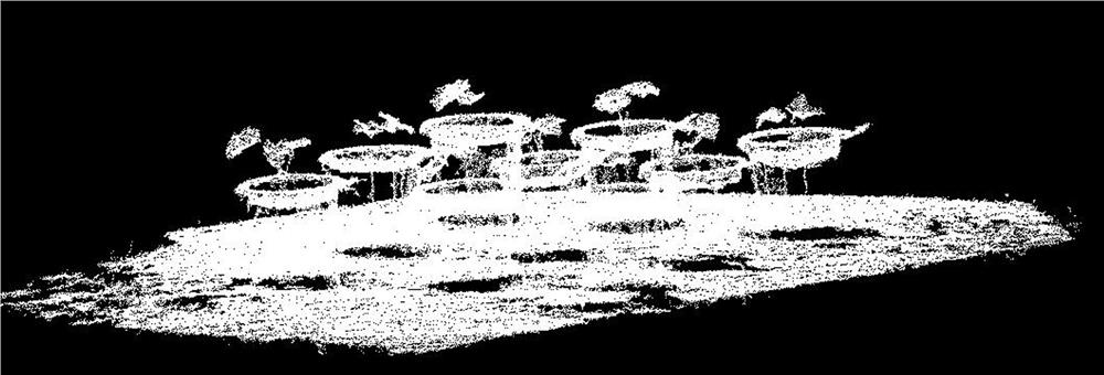 Crop phenotypic parameter extraction method and system based on multi-view vision