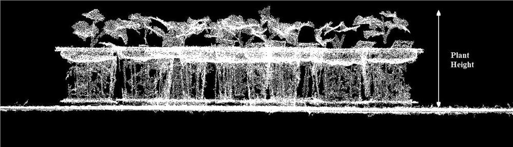 Crop phenotypic parameter extraction method and system based on multi-view vision