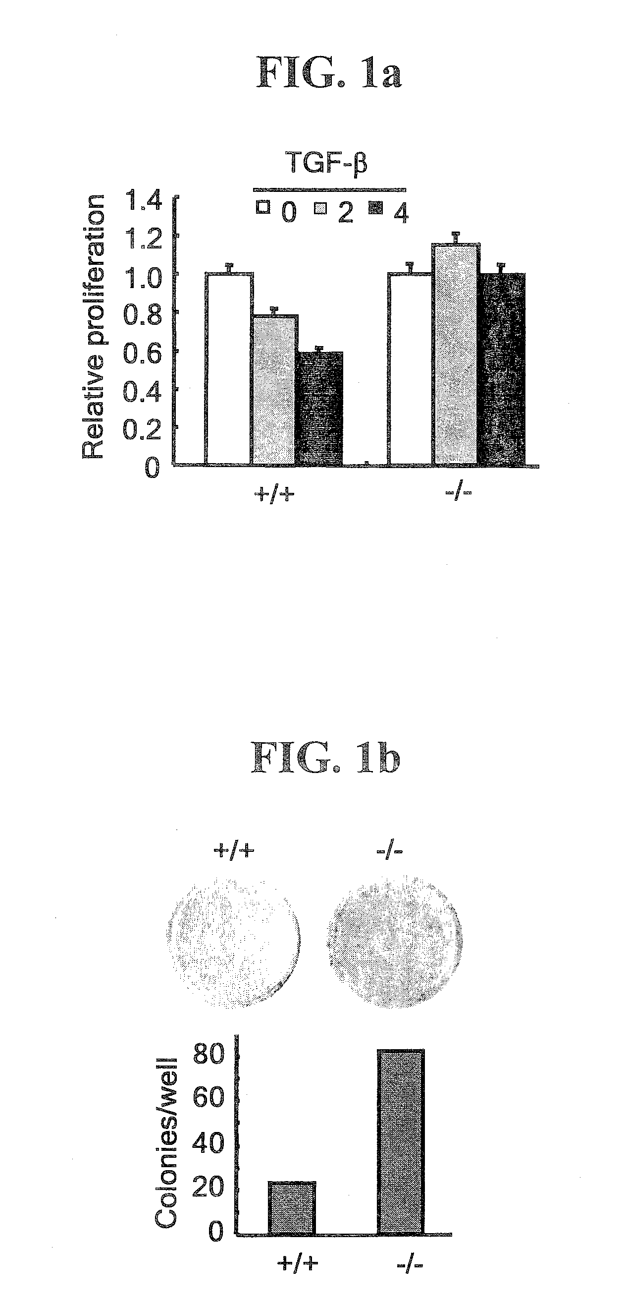 Antibody Specific to the AIMP2-DX2