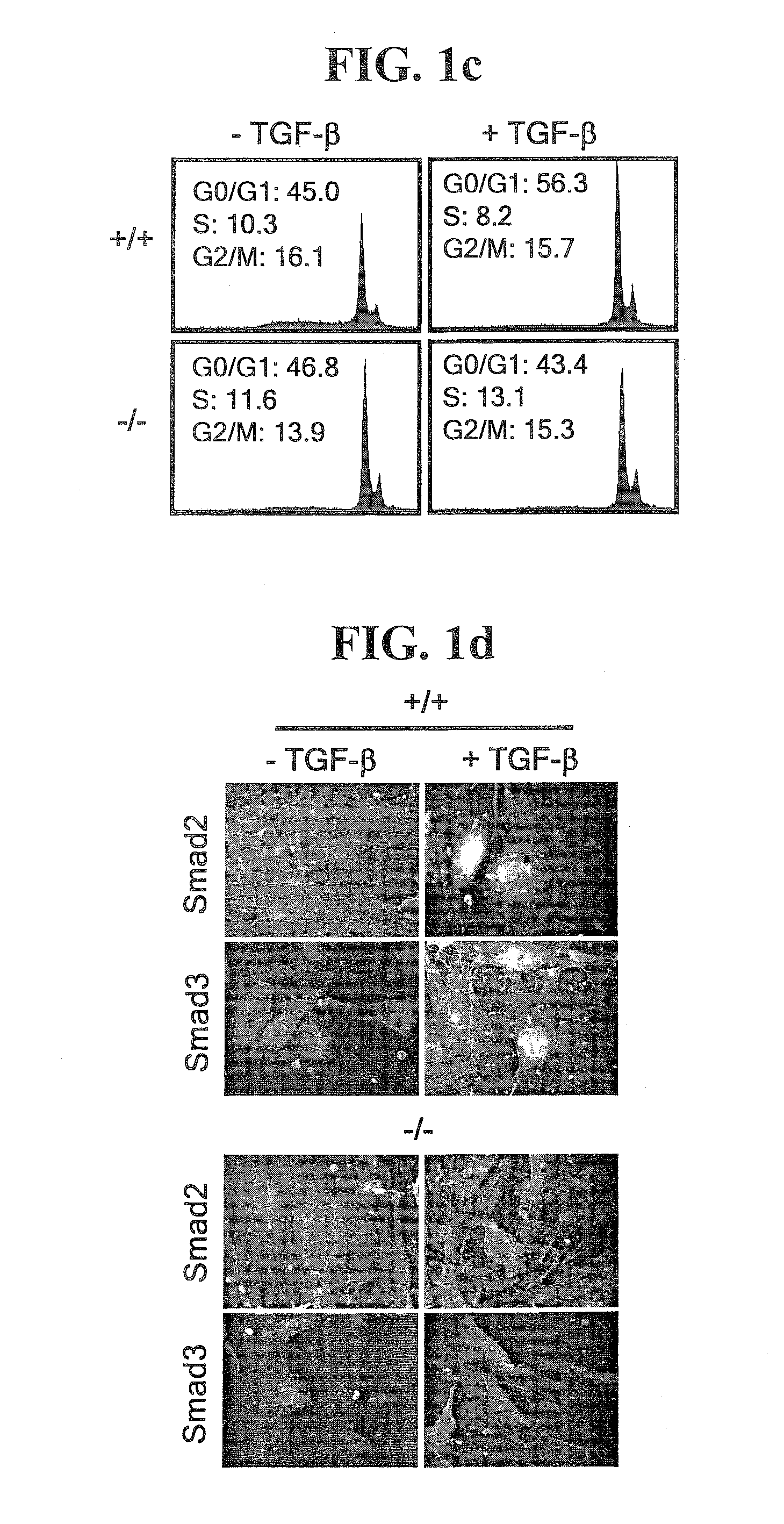 Antibody Specific to the AIMP2-DX2