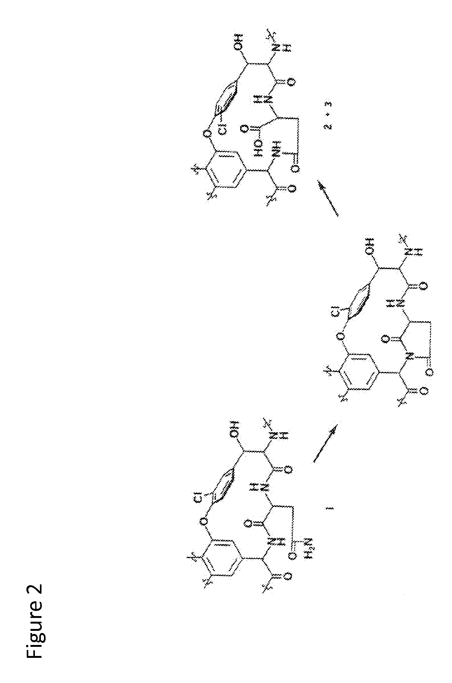 Stabilized vancomycin formulations