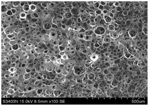 Hydrogel for bone repair, and preparation method thereof