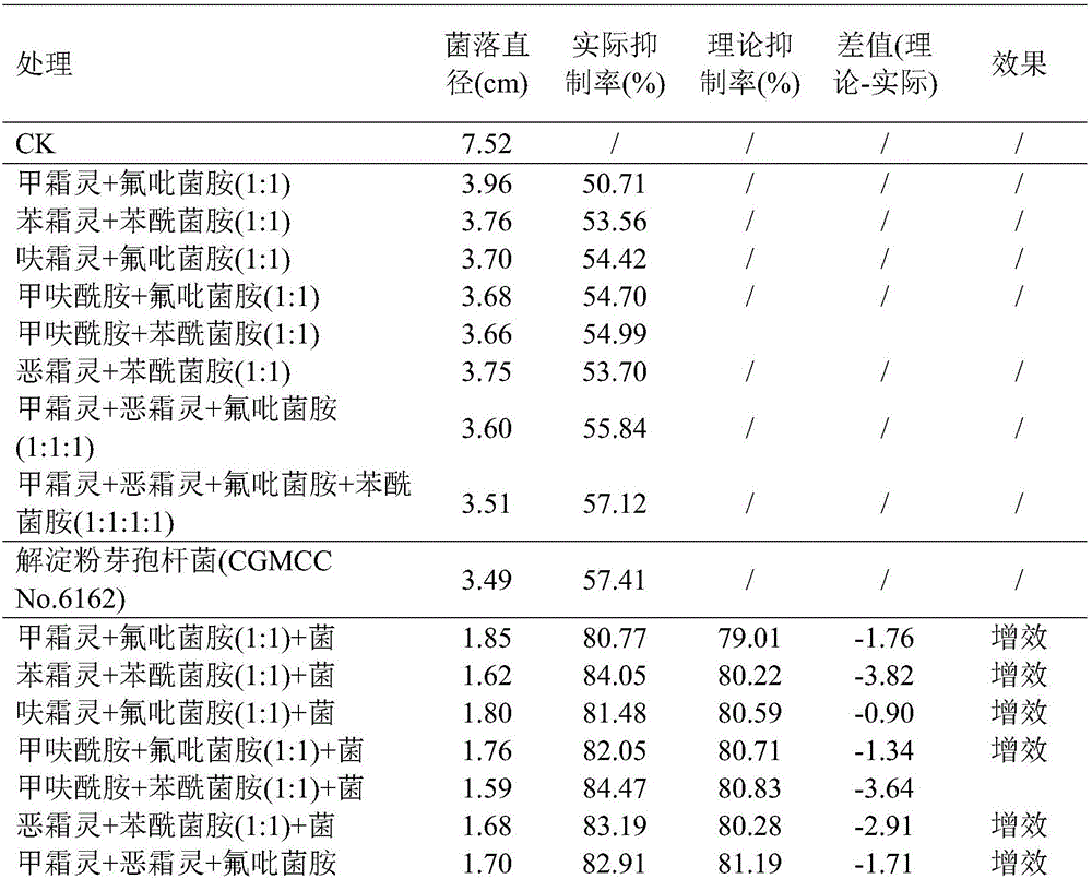 Bactericide composition containing phenylamide and benzamide bactericides and biocontrol bacterium, preparation and applications