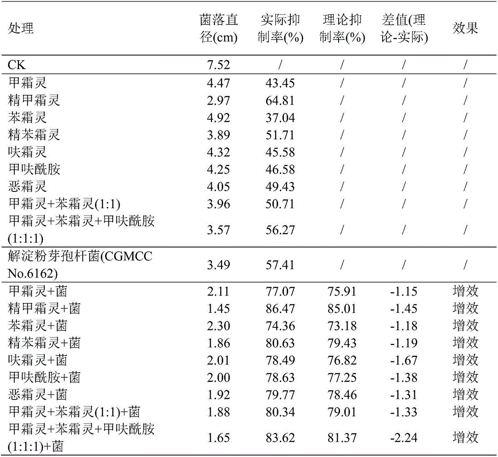 Bactericide composition containing phenylamide and benzamide bactericides and biocontrol bacterium, preparation and applications