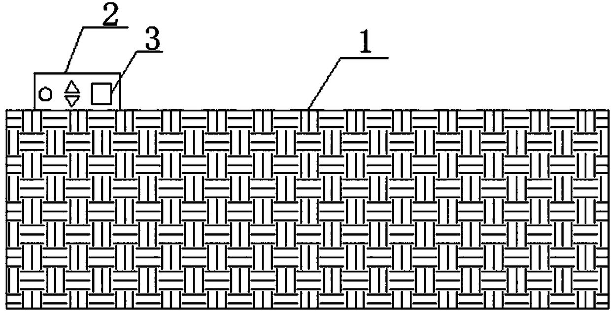 Household carpet temperature control system