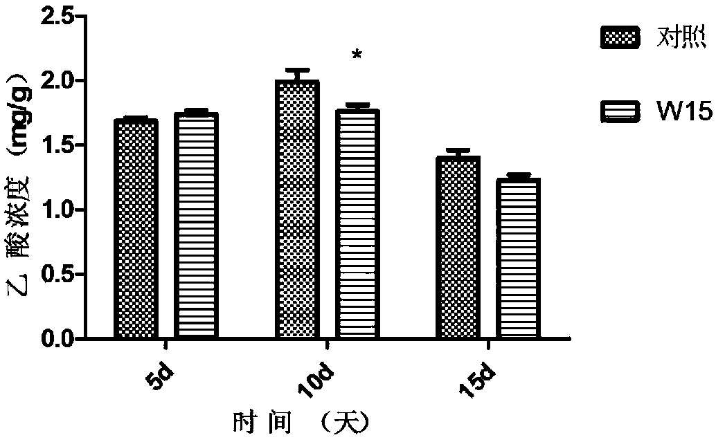 Bacillus capable of removing stink of sheep manure and application thereof