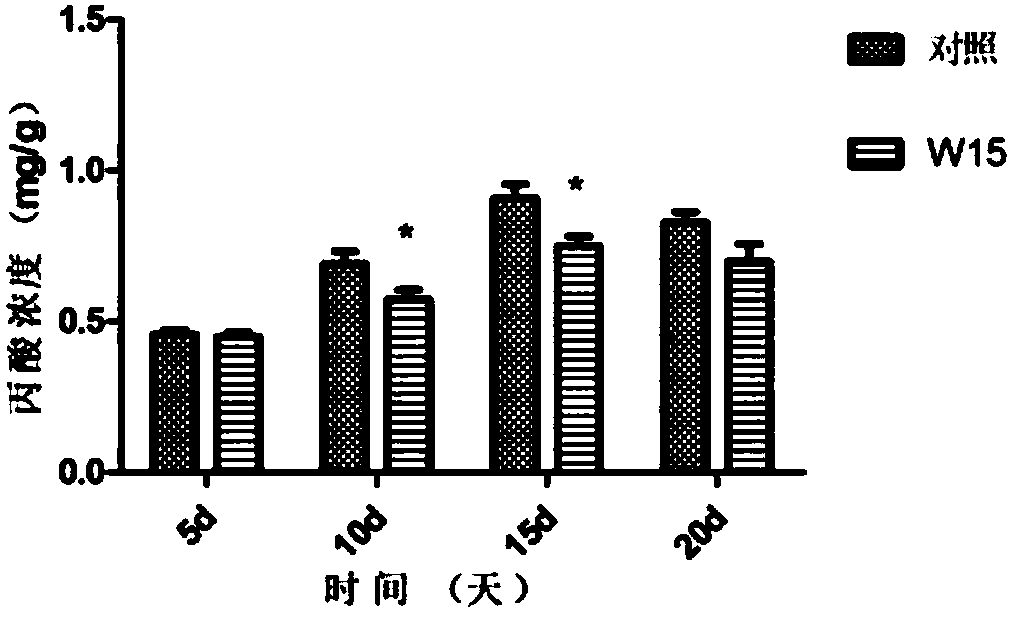 Bacillus capable of removing stink of sheep manure and application thereof