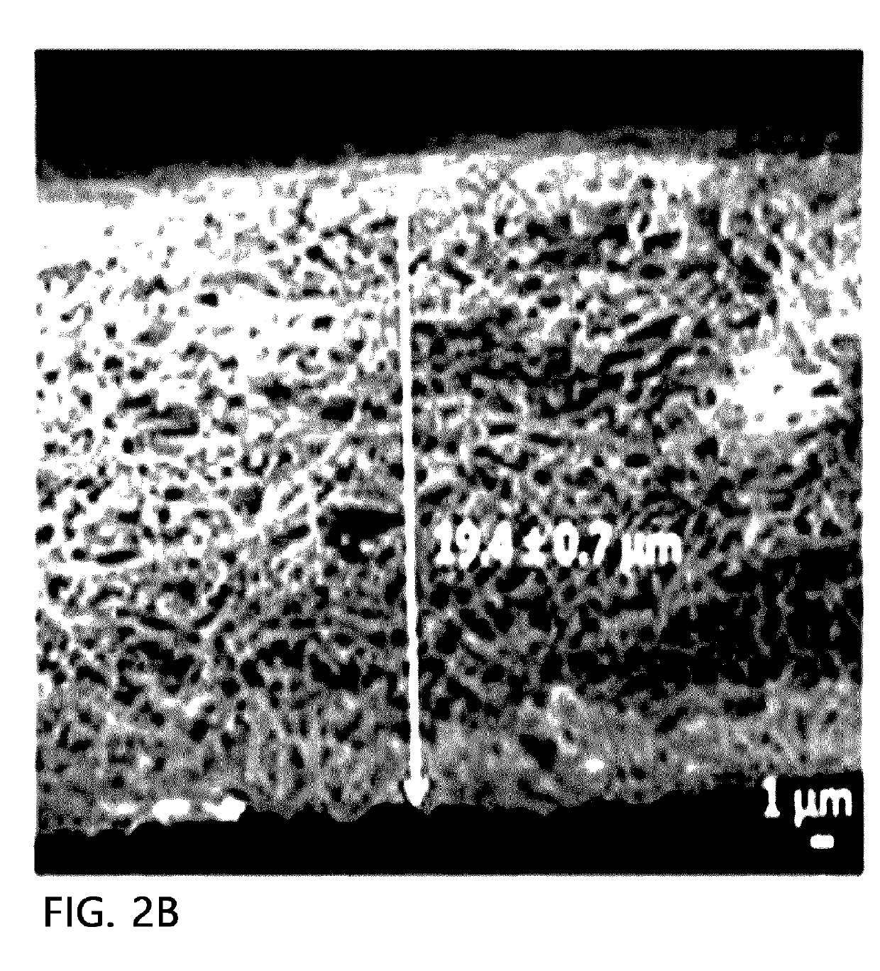 Filter medium, method for manufacturing same, and filter module comprising same