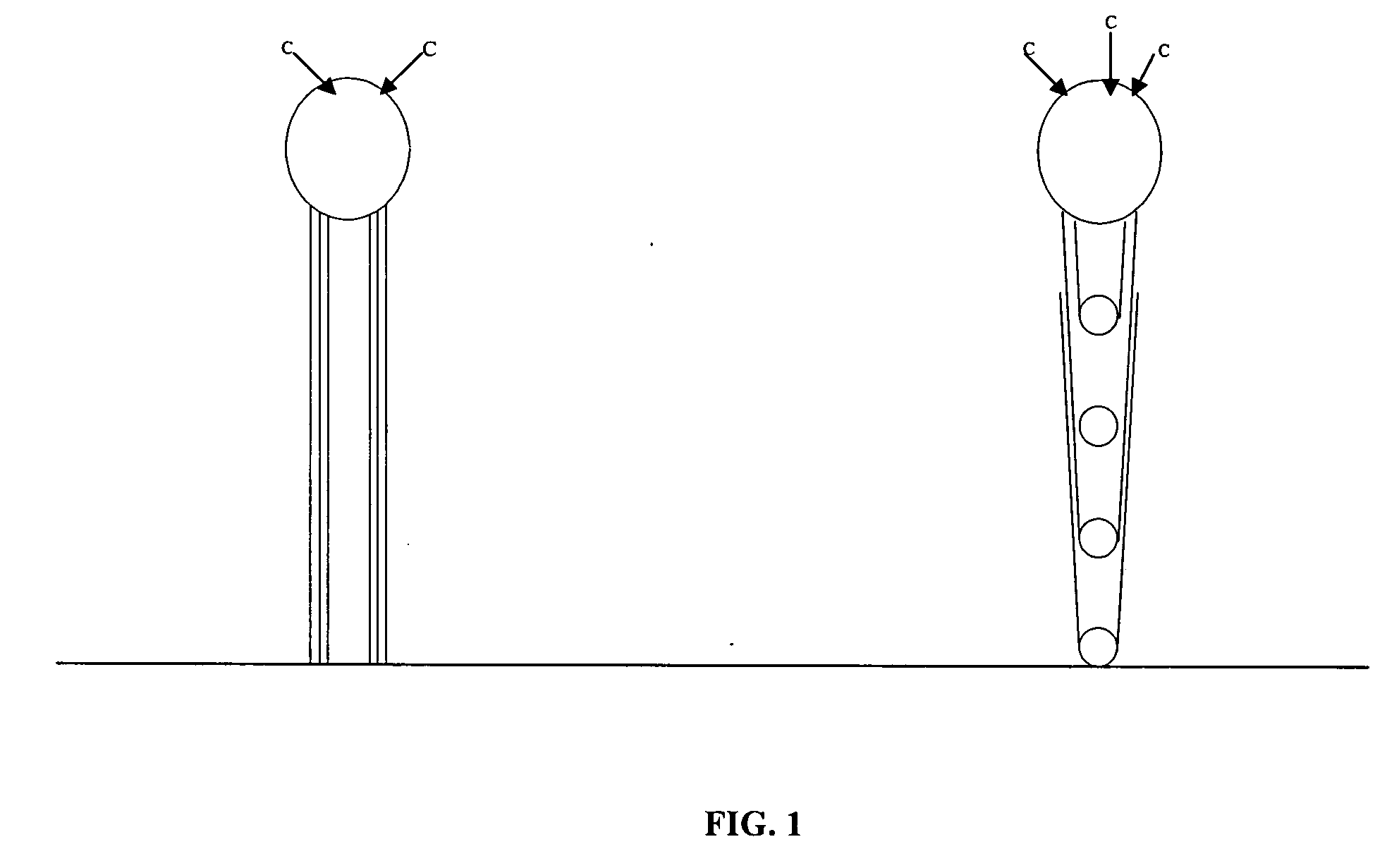 Varied morphology carbon nanotubes