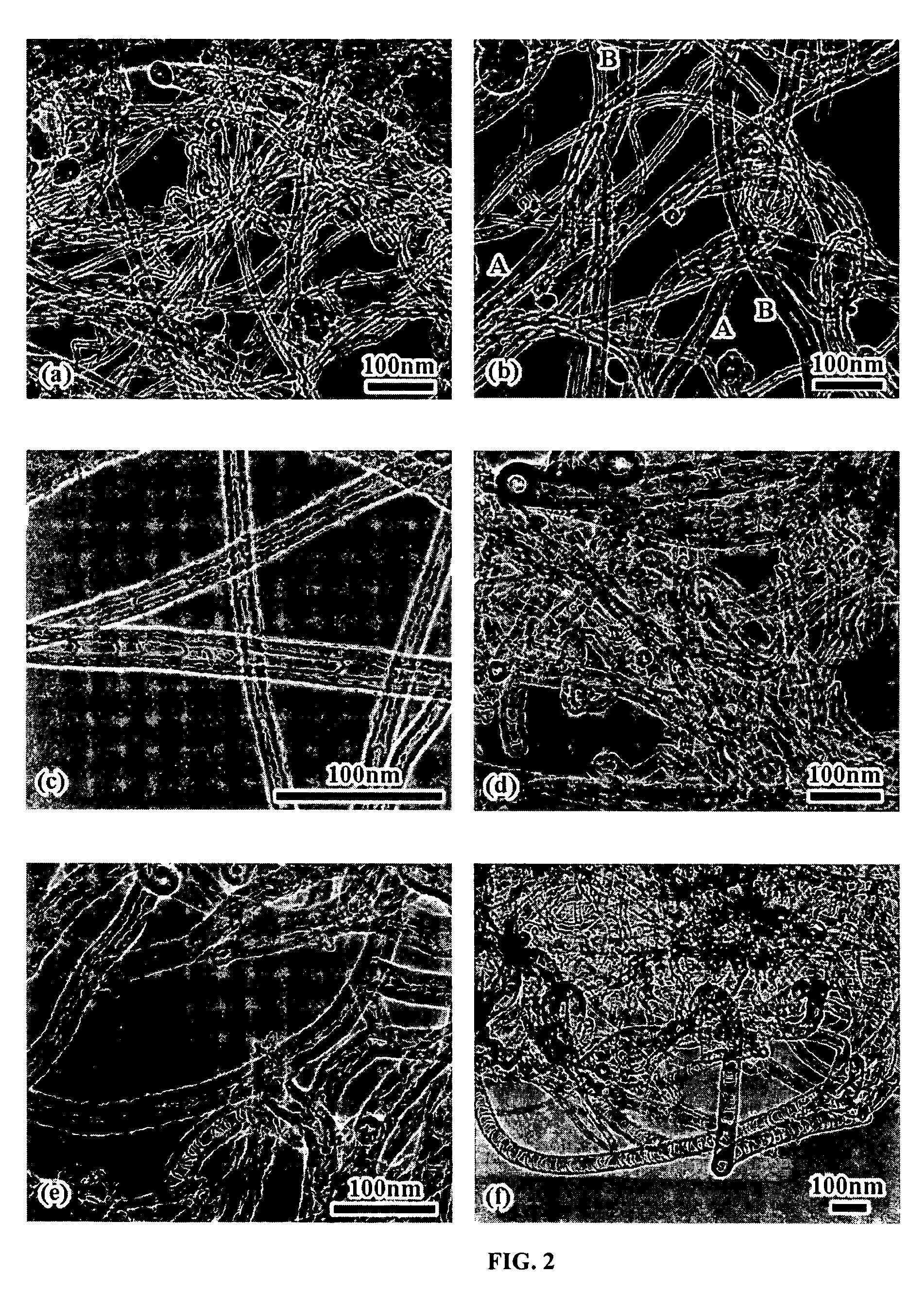 Varied morphology carbon nanotubes