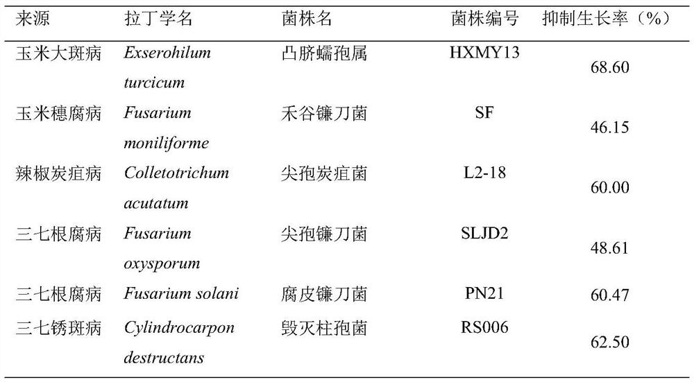 Lysobacter enzymogenes and application thereof