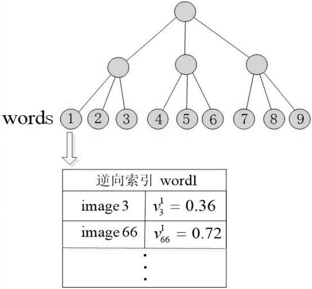 Bag of visual words-based closed-loop detection method for mobile robot maps