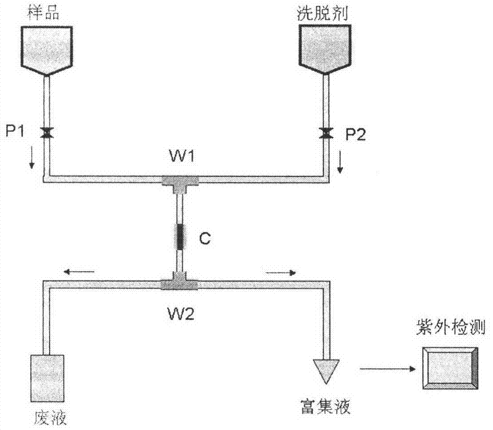 Method for fast enriching and detecting trace amount of As (V) and Cr (VI) contained in water by filling microcolumn by utilizing fiber