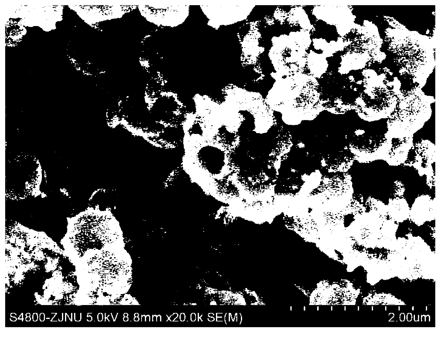 Polypyrrole hollow microsphere/ sulfur composite material as well as preparation method and application thereof