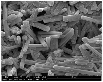 Method for preparing magnesium borate whisker ceramic film supporter with proper porosity and compressive strength