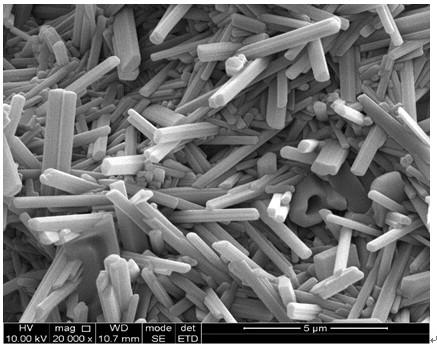 Method for preparing magnesium borate whisker ceramic film supporter with proper porosity and compressive strength