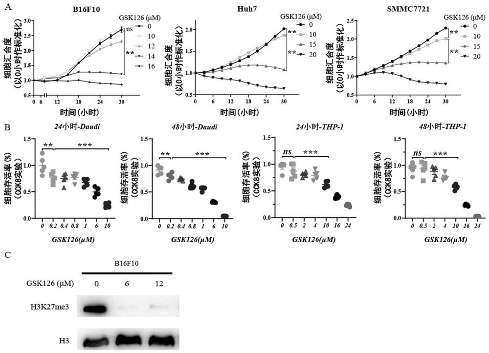 Anti-tumor pharmaceutical composition containing EZH2 inhibitor and SCD1 inhibitor and application of anti-tumor pharmaceutical composition