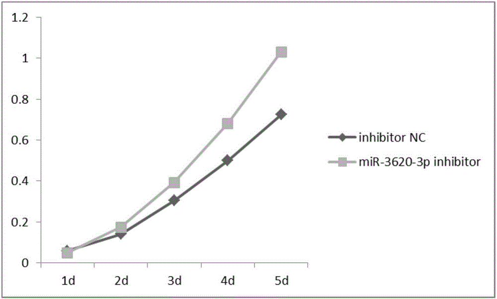 Novel application of mir-3620