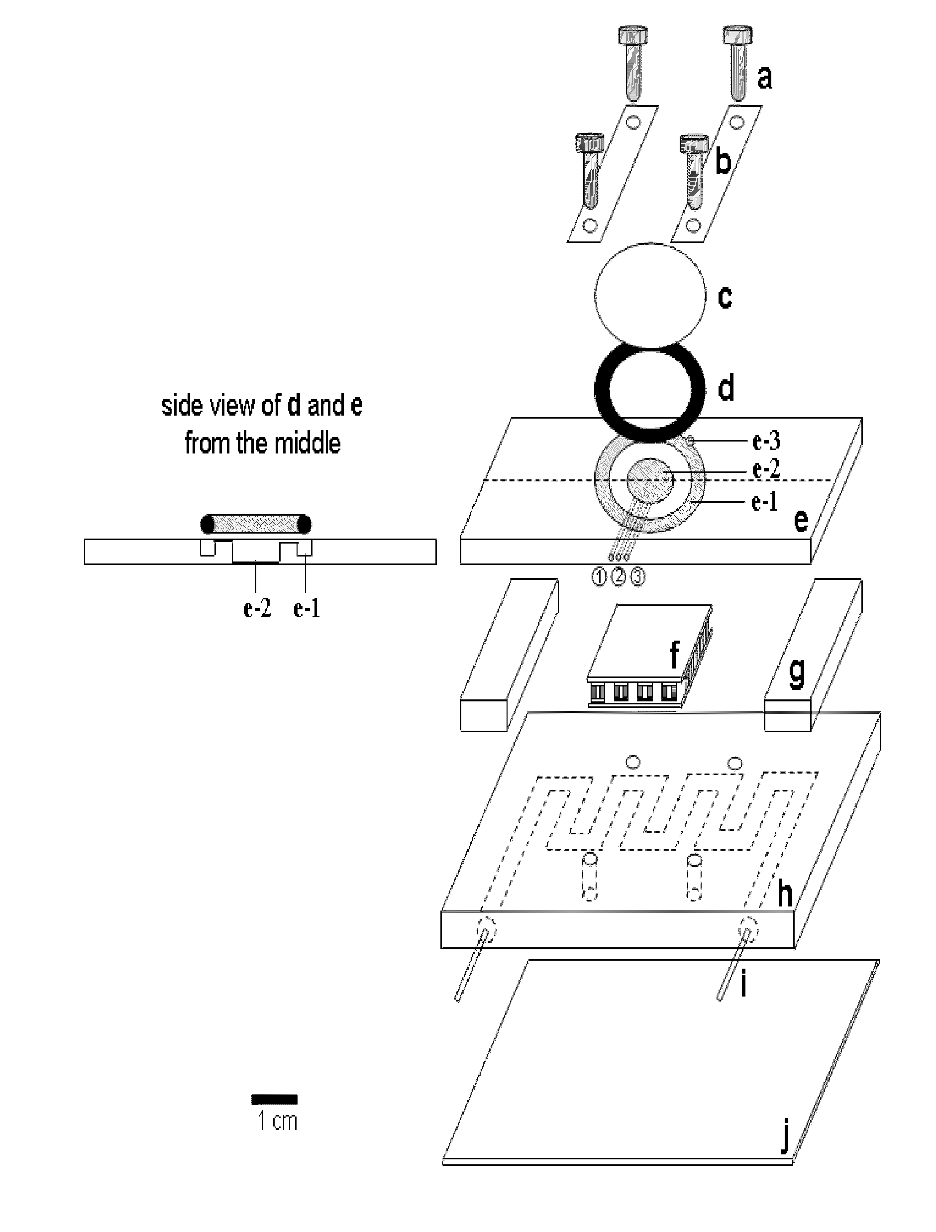 Observation chamber for studying temperature-dependent events and method thereof