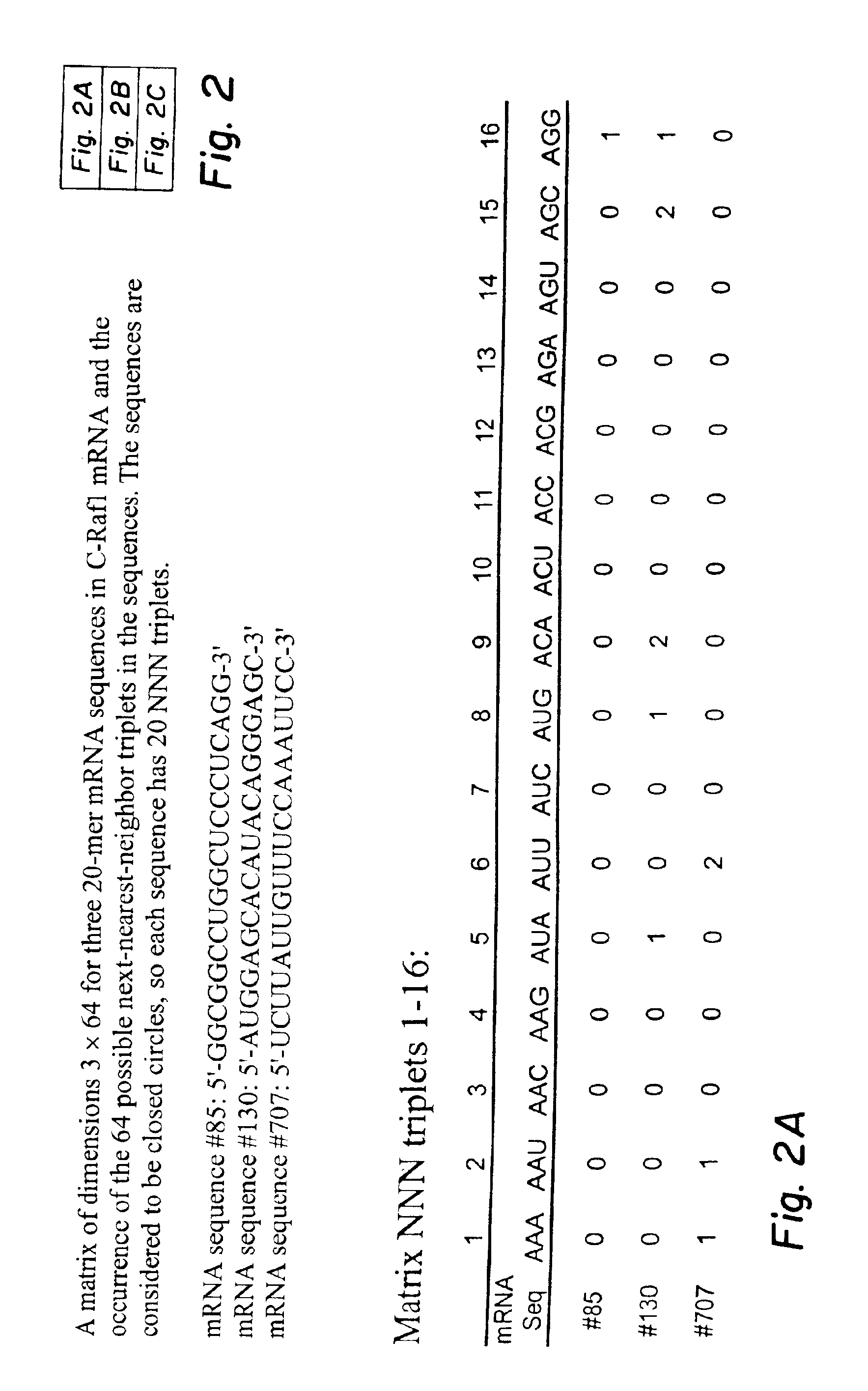 Next-nearest-neighbor sequence determinants of antisense DNA