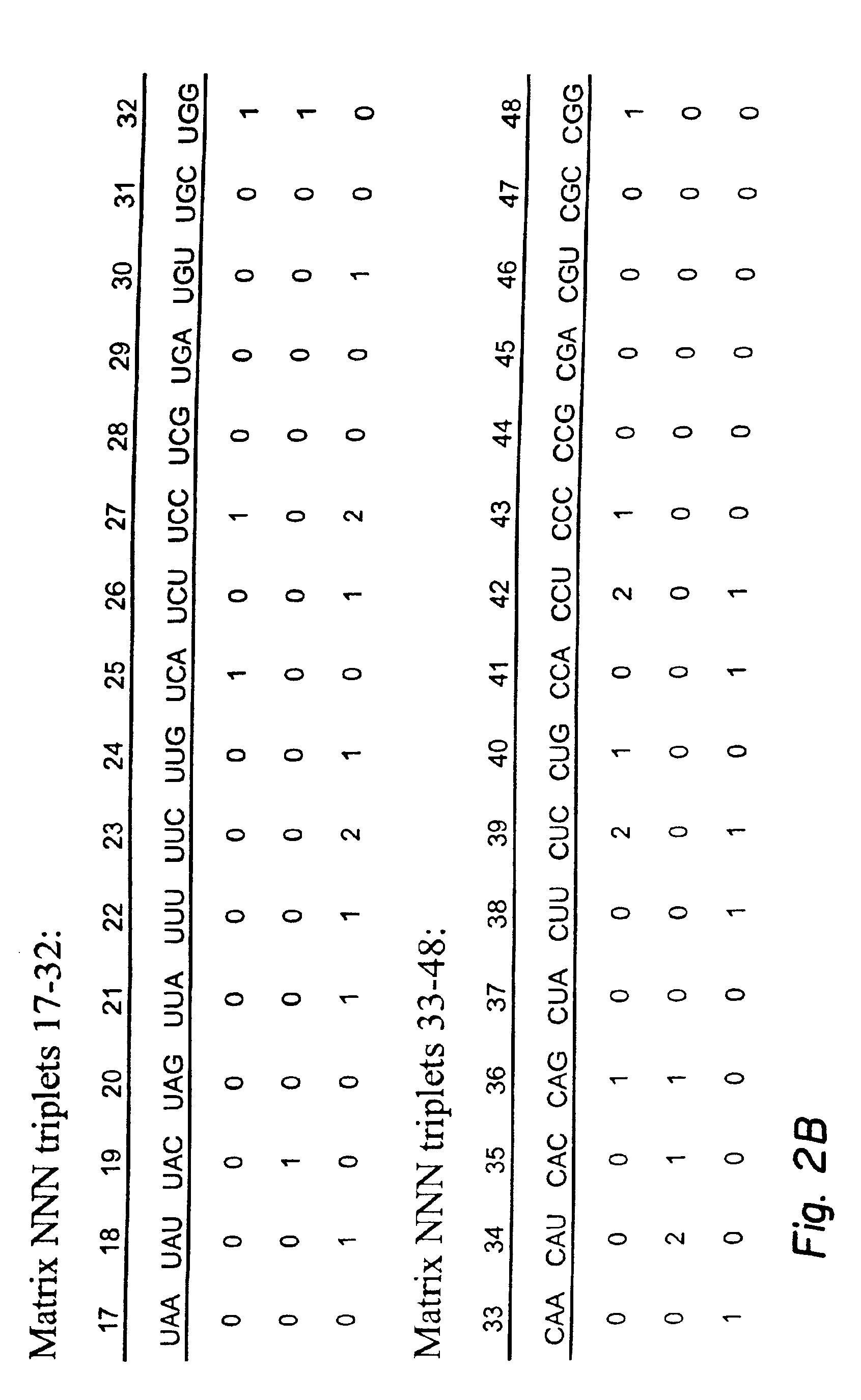 Next-nearest-neighbor sequence determinants of antisense DNA