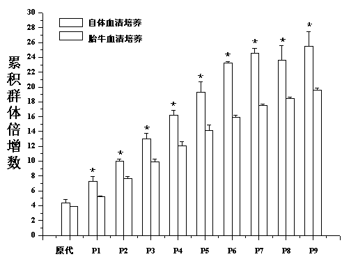 Human fat mesenchymal stem cell bank and construction method thereof