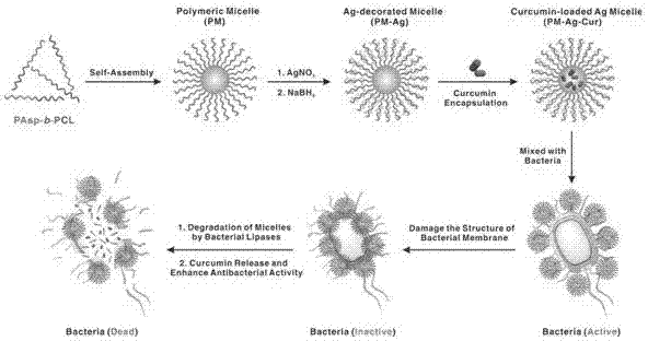 Nanometer antibacterial agent loaded with both nano-silver and curcumin and preparing method and application thereof