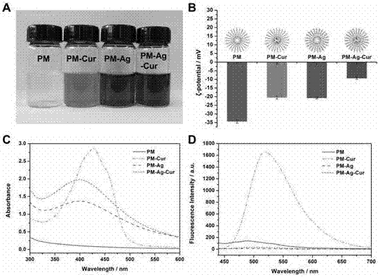 Nanometer antibacterial agent loaded with both nano-silver and curcumin and preparing method and application thereof