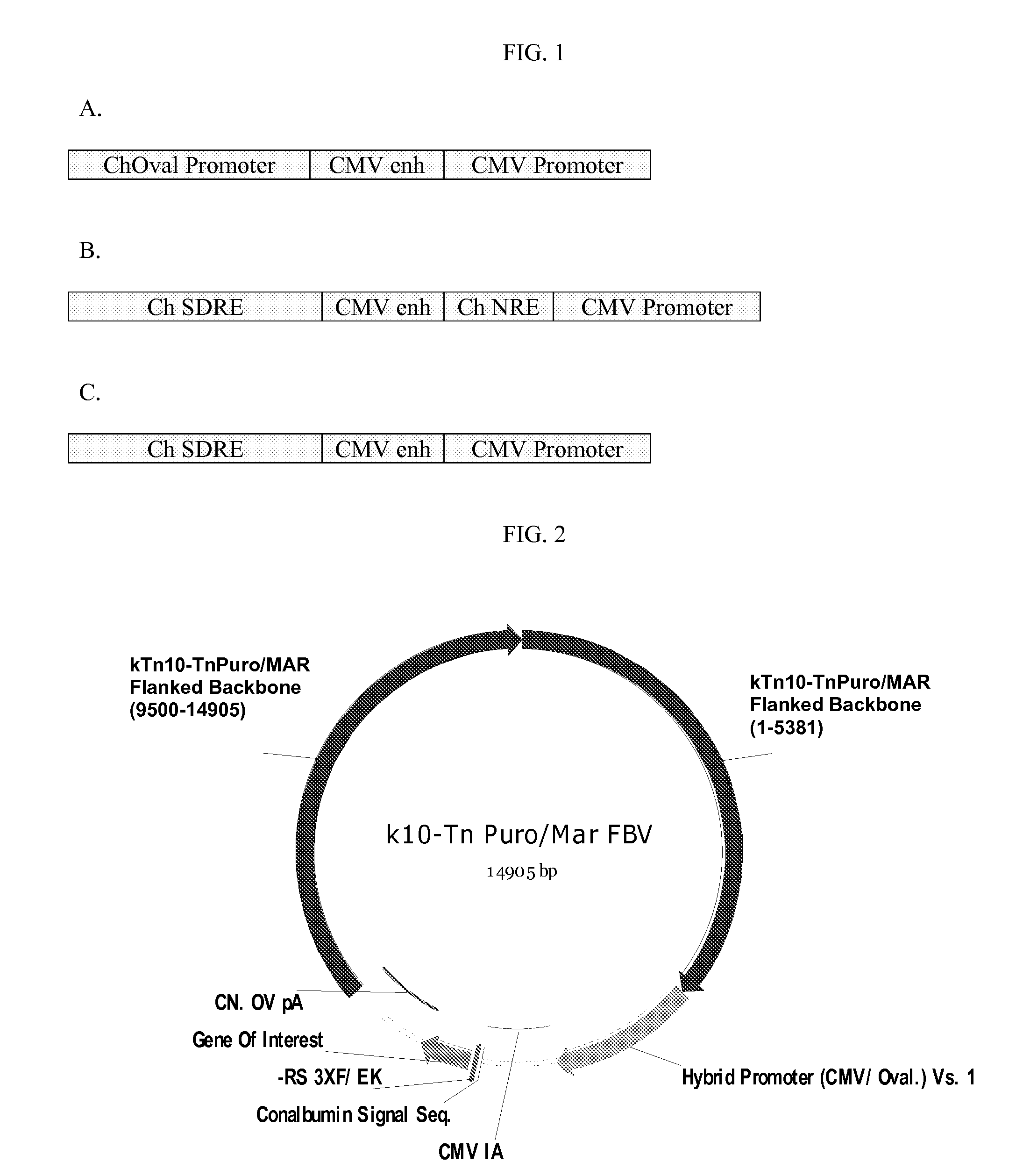 Production of Proteins Using Transposon-Based Vectors