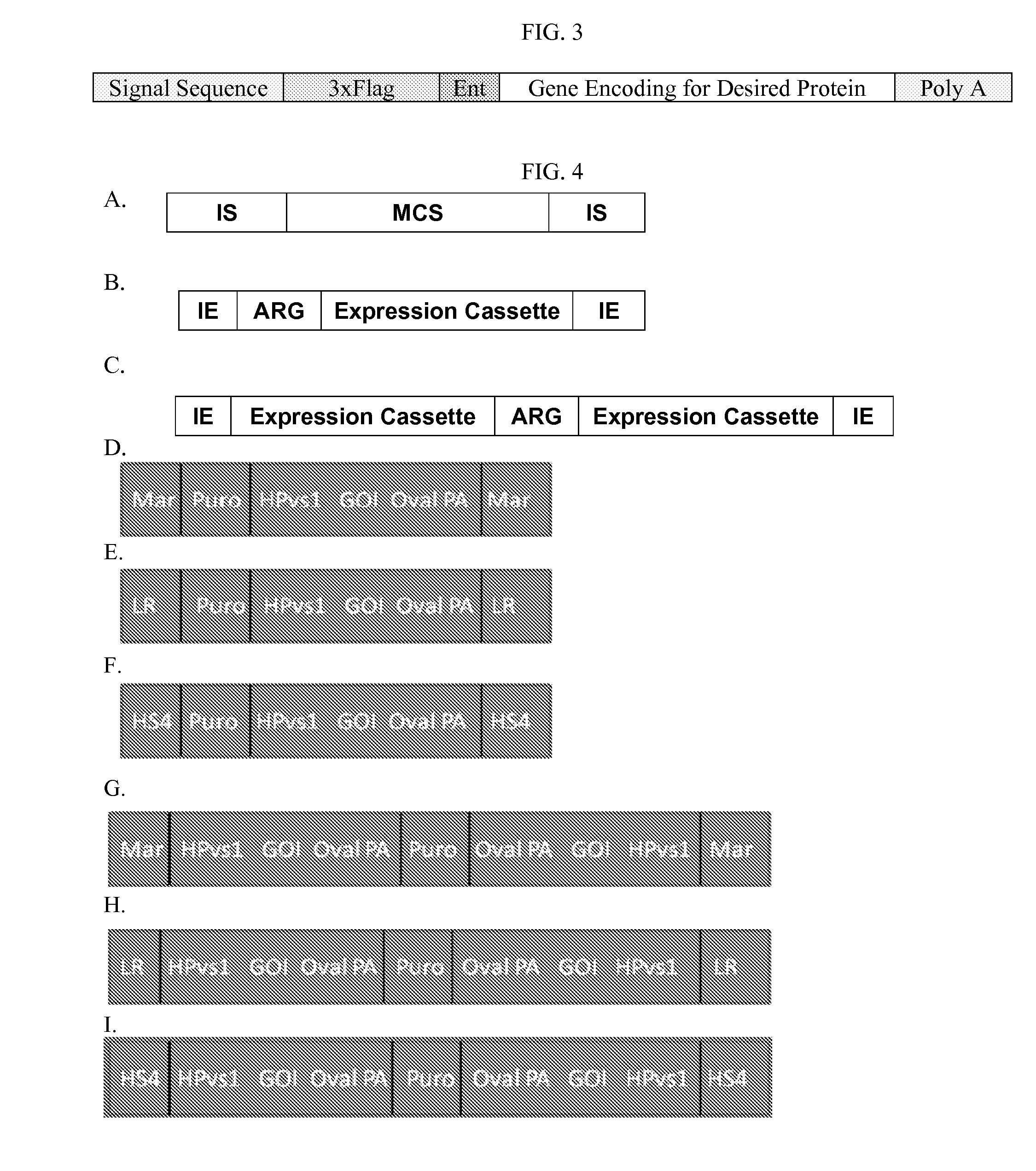 Production of Proteins Using Transposon-Based Vectors